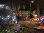 resIMG_20181221_180254_5153.JPG